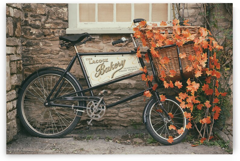Bakery Bike by Dave Bowman