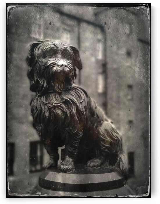 Greyfriars Bobby by Dave Bowman