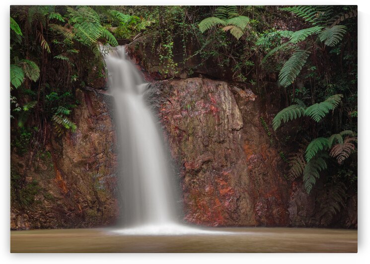 Tropical Waterfall by Dave Bowman