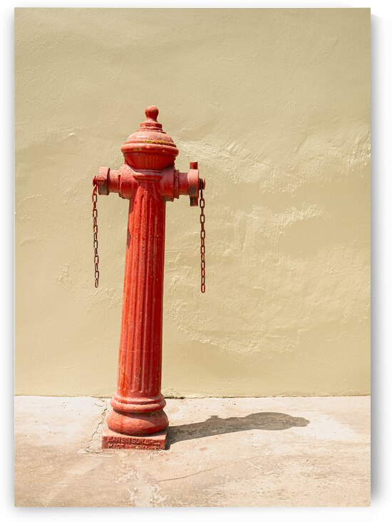 Penang Fire Hydrant by Dave Bowman