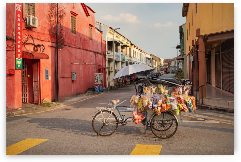 Street Vendor Bike by Dave Bowman