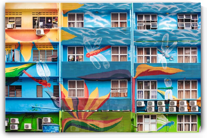 Urban Dragonflies by Dave Bowman