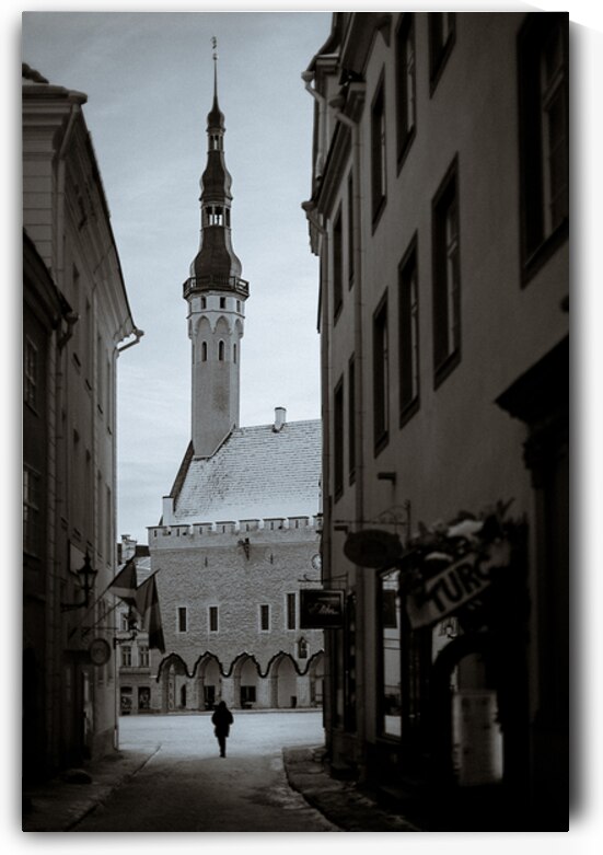Alone in Tallinn by Dave Bowman