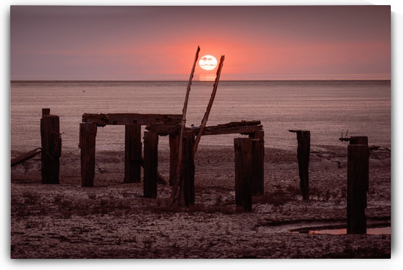 Grasping the Sun by Dave Bowman