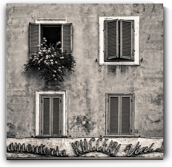 Four Windows by Dave Bowman