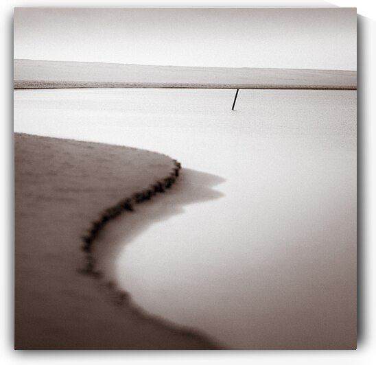Kijkduin Beach by Dave Bowman