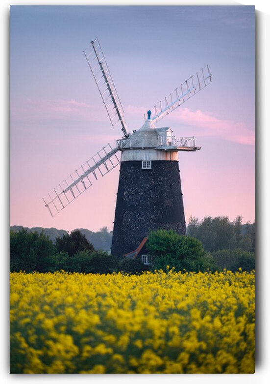 Burnham Overy Staithe Windmill by Dave Bowman