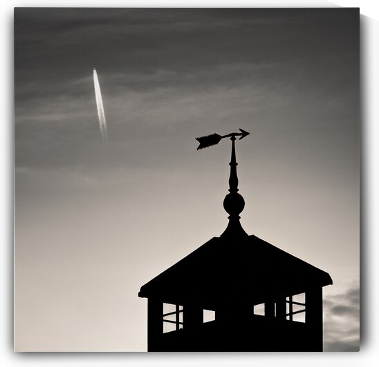 Weather Vane and Plane by Dave Bowman