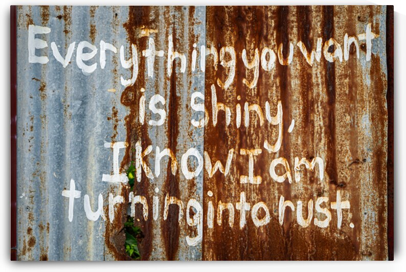 Turning Into Rust by Dave Bowman