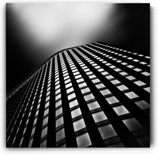 Lines of Learning by Dave Bowman