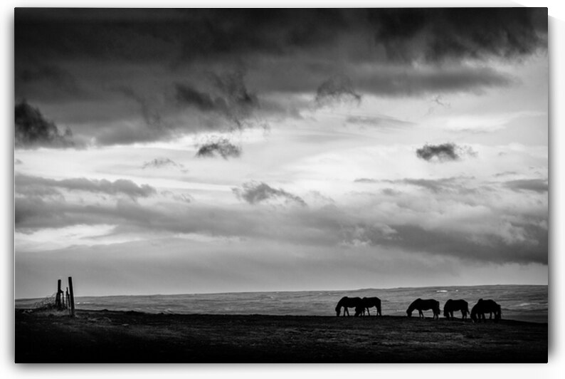 Days End at Hvammstangi by Dave Bowman