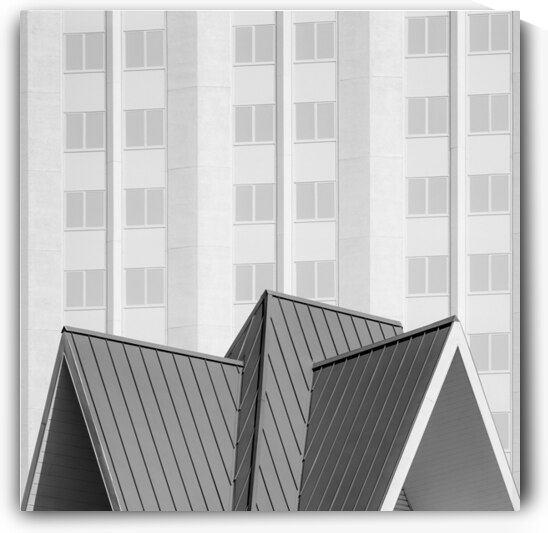 Tropicana Shapes I by Dave Bowman