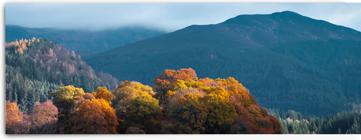 Autumn at Tay Forest Park by Dave Bowman