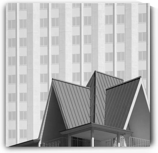 Tropicana Shapes II by Dave Bowman