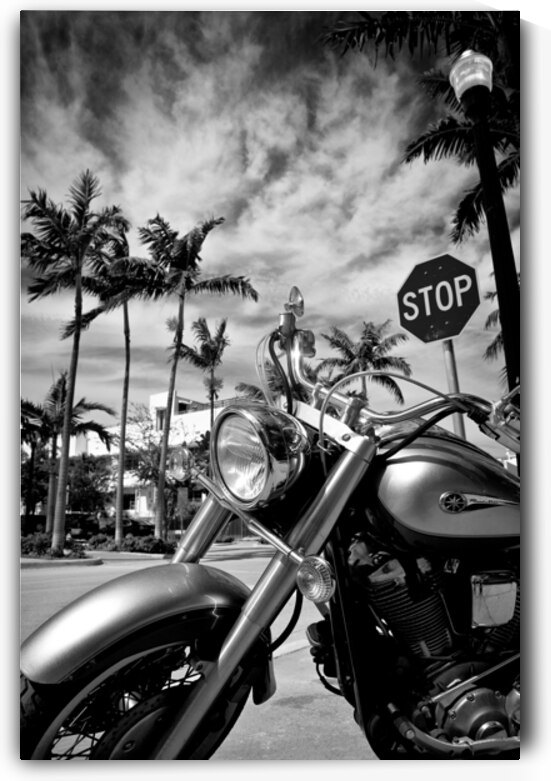 South Beach Cruiser by Dave Bowman