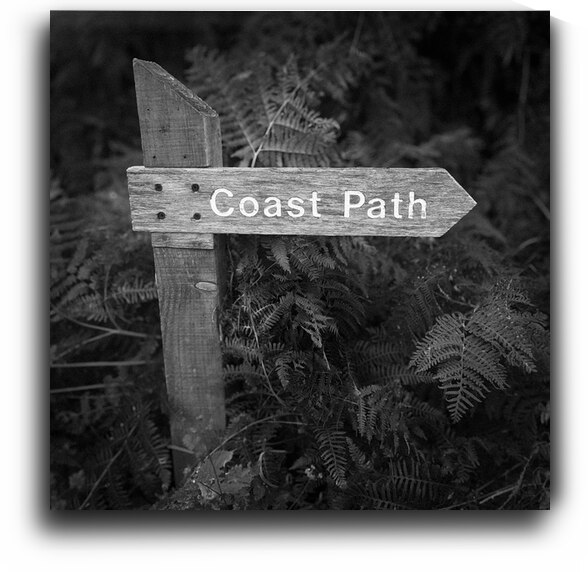 Coast Path Sign by Dave Bowman