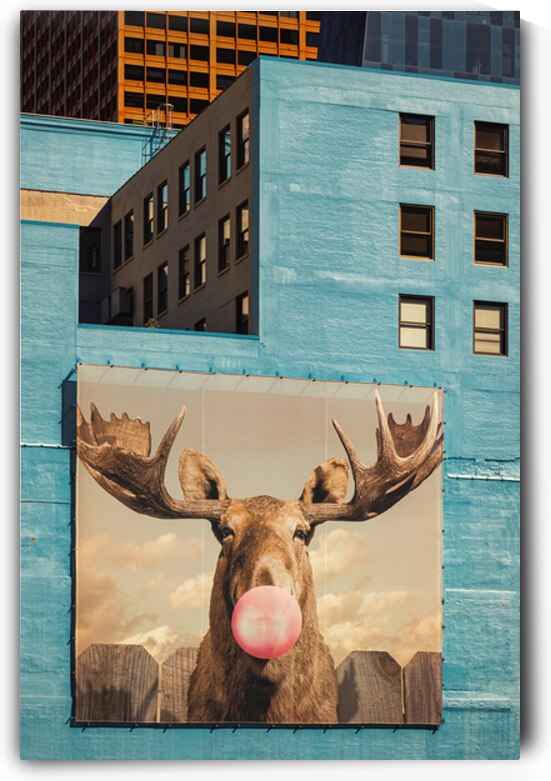 Chicago Bubblegum Moose by Dave Bowman