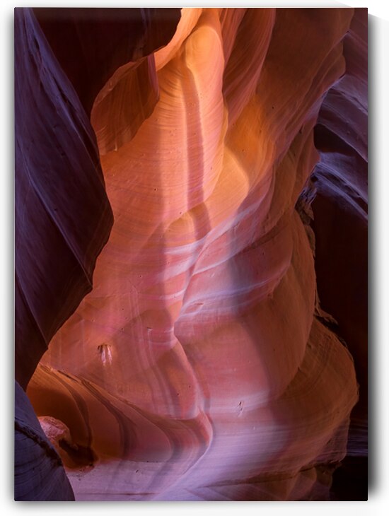 Canyon Light by Dave Bowman