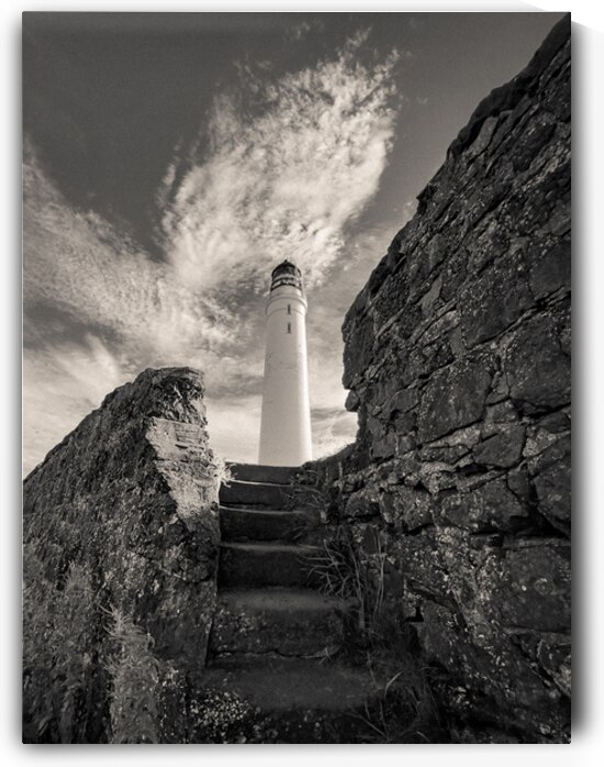 Steps to Scurdie Ness by Dave Bowman