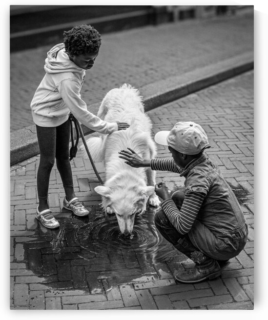 Watering Hole by Dave Bowman