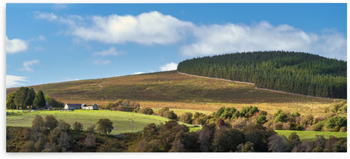 Late Summer in the Cairngorms by Dave Bowman