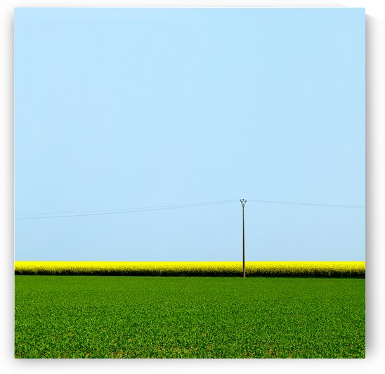 Mustard Sandwich by Dave Bowman