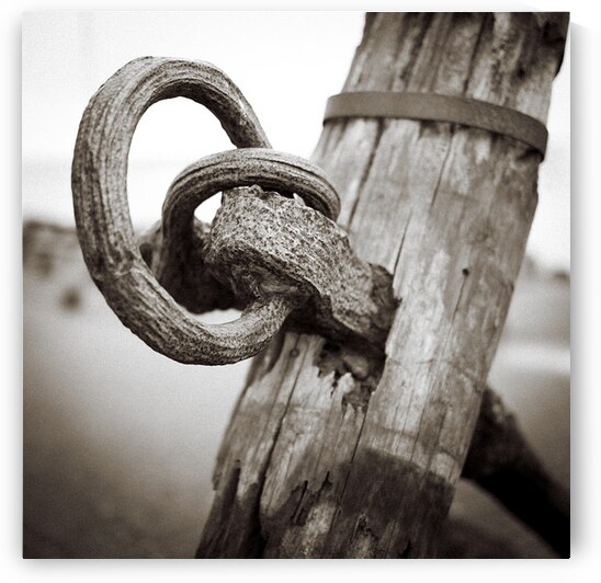 Old Anchor by Dave Bowman