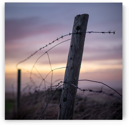 Anglesey Fence at Sunset by Dave Bowman