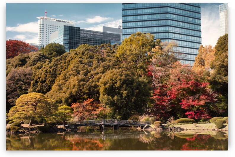 Shinjuku Gyoen National Garden by Dave Bowman