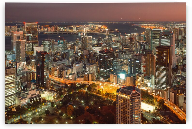 Nightfall Over Tokyo Bay by Dave Bowman