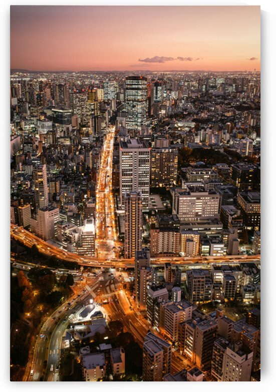 Sakurada Dori at Night by Dave Bowman