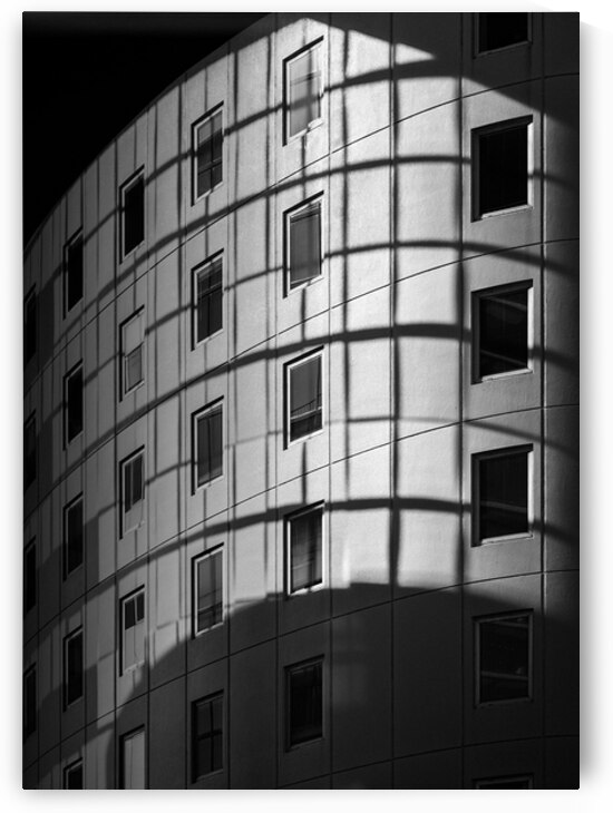 Spatial Rhythm by Dave Bowman