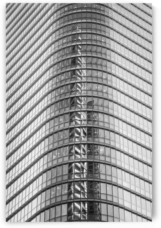 Chiyoda Reflection by Dave Bowman