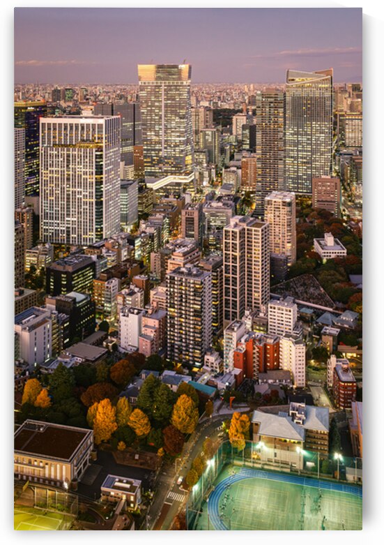 Minato City by Dave Bowman