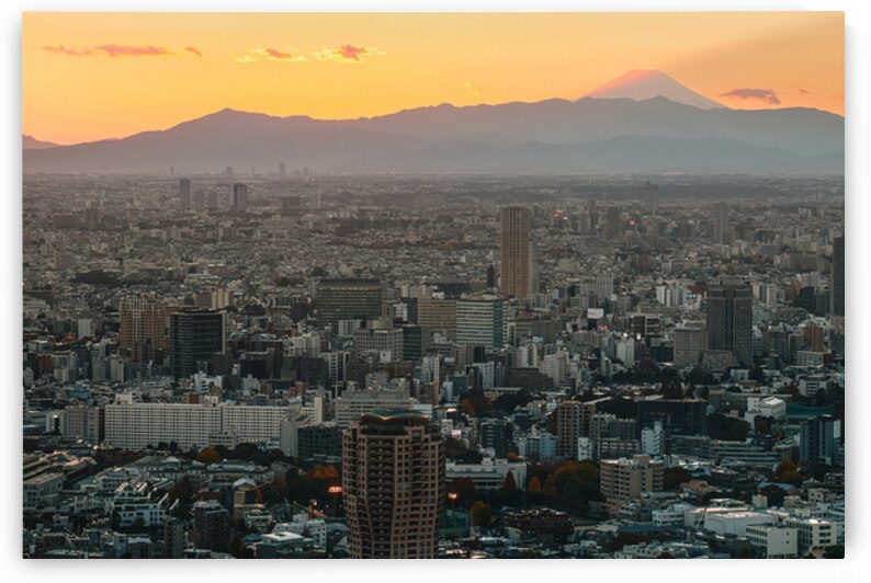 Tokyo and Mount Fuji at Sunset by Dave Bowman