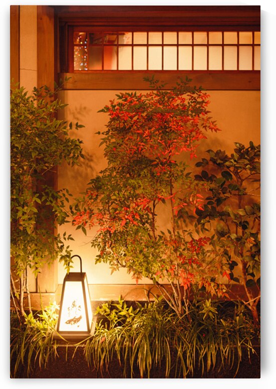 Garden Lantern by Dave Bowman