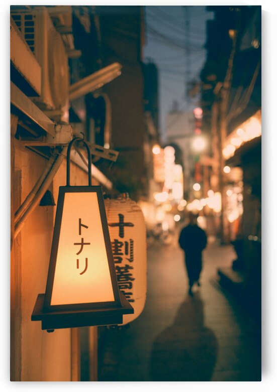 Backstreets of Osaka by Dave Bowman