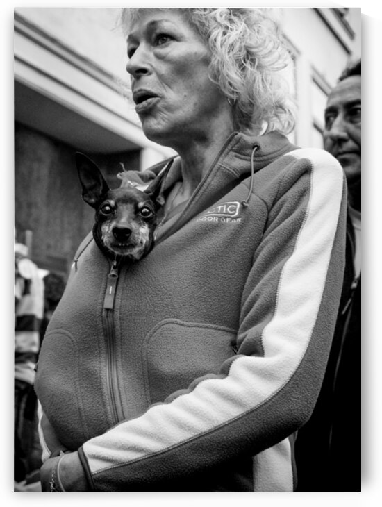 Hitchhiker by Dave Bowman