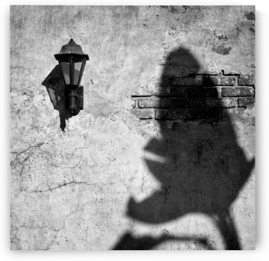 Lamp and Leaf by Dave Bowman