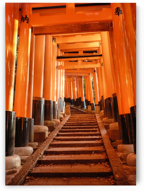 Torii Ascent at Fushimi Inari by Dave Bowman