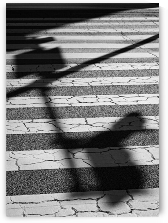 Tokyo Crossing by Dave Bowman