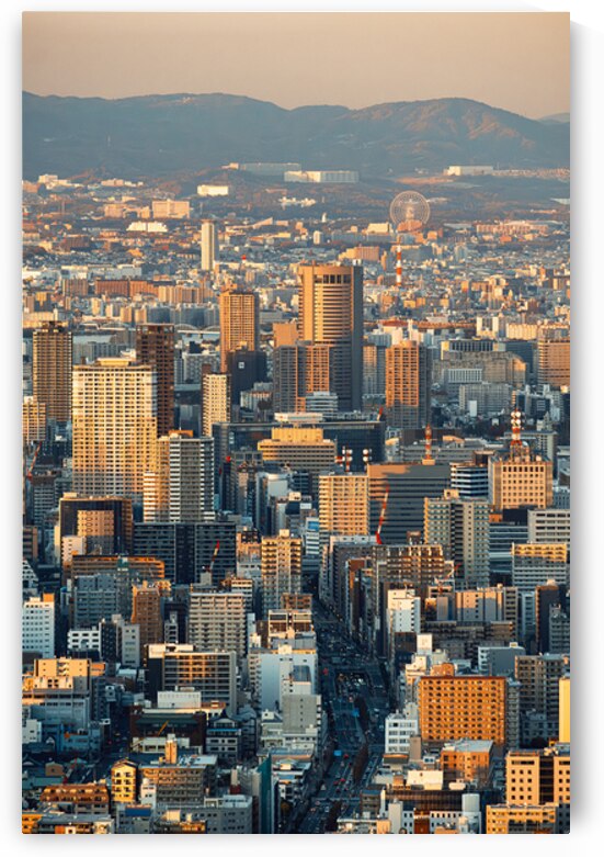 Osaka View by Dave Bowman