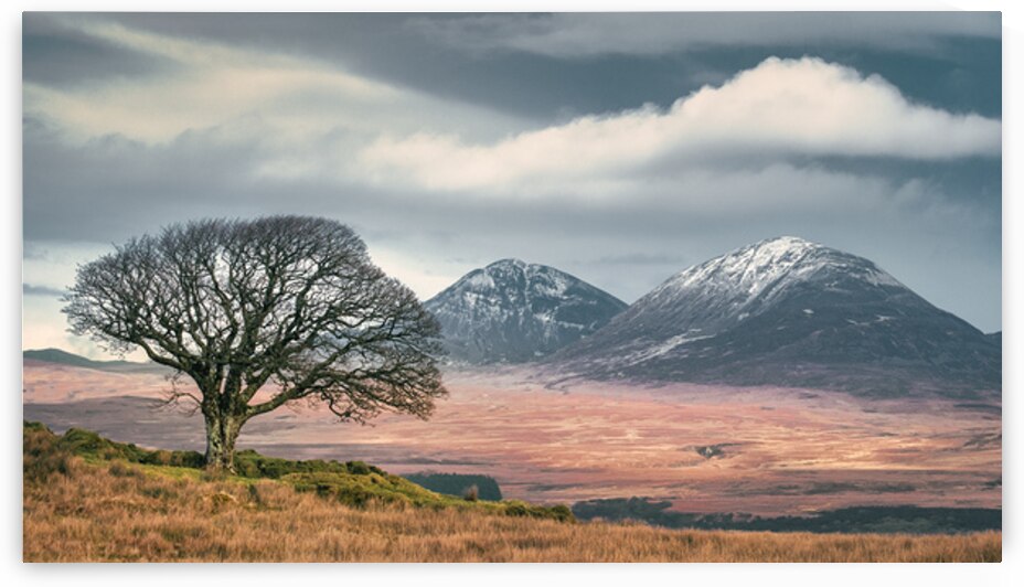 DBP Paps of Jura POD by Dave Bowman