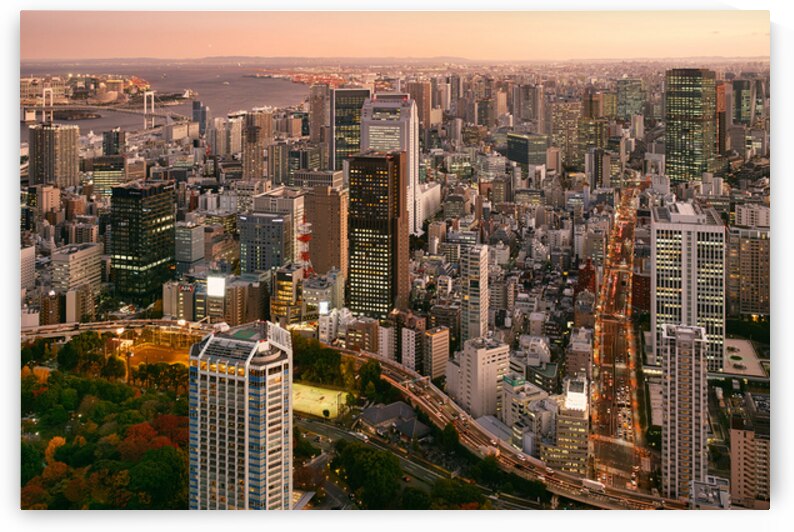 The Heart of Minato by Dave Bowman