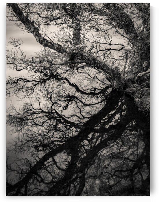 Lochan Na Cuilce Reflections by Dave Bowman