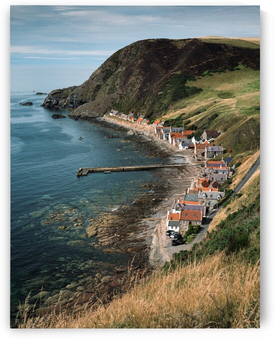 Crovie by Dave Bowman