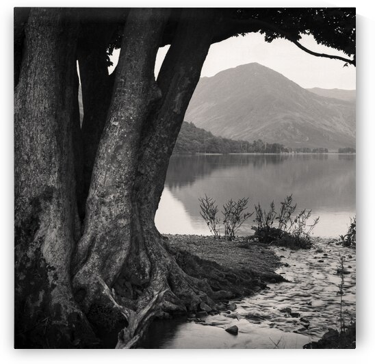  Rivulet to Buttermere by Dave Bowman