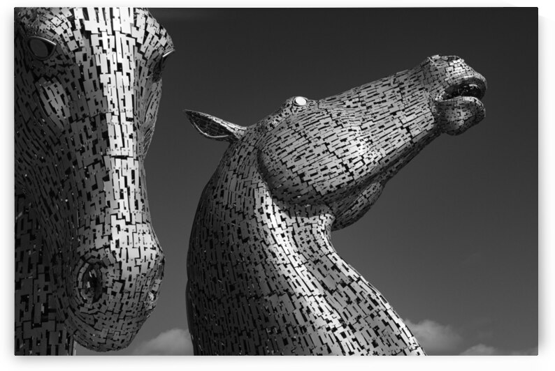 The Kelpies by Dave Bowman