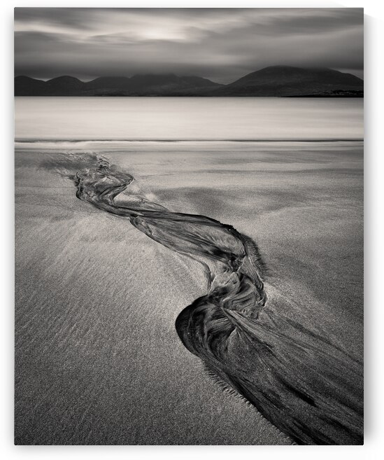 Luskentyre Sand Tracks by Dave Bowman