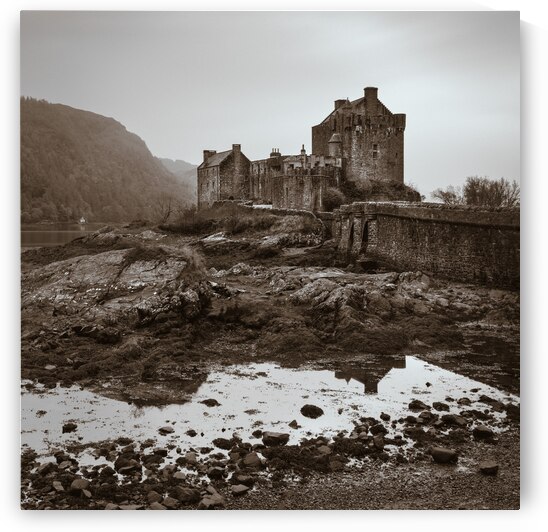 Eilean Donan Solitude by Dave Bowman